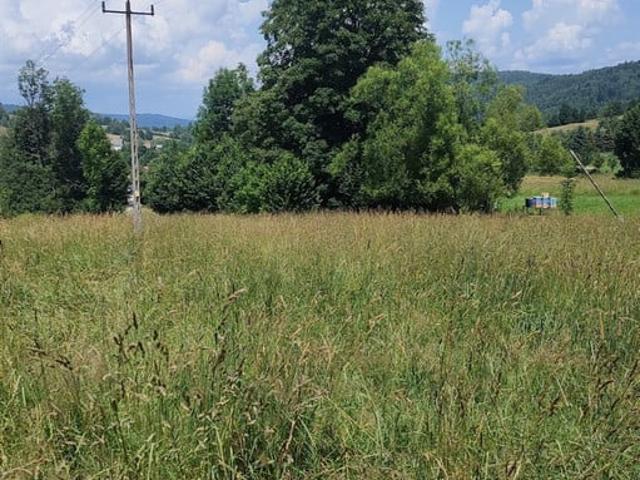 Grunt na sprzedaż w Żywiec, Śląskie