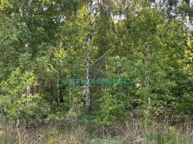 Grunt na sprzedaż w Jaktorów, powiat grodziski