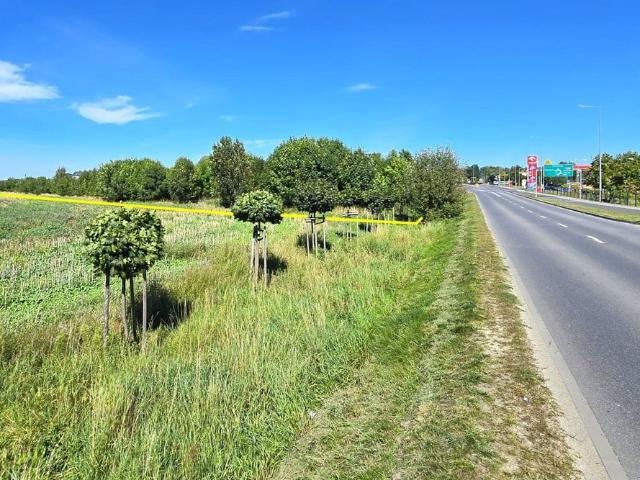 Grunt na sprzedaż w Rokietnica, Wielkopolskie