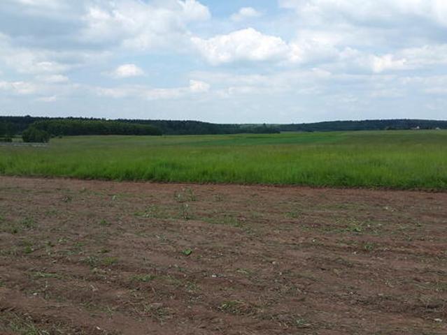 Grunt na sprzedaż w Koziegłowy, Śląskie