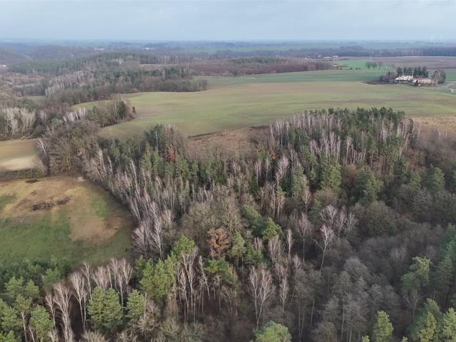 Grunt na sprzedaż w Gruta, Kujawsko-pomorskie