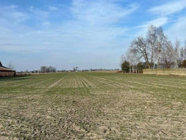 Grunt na sprzedaż w Miedniewice-Łąki, Miedniewice