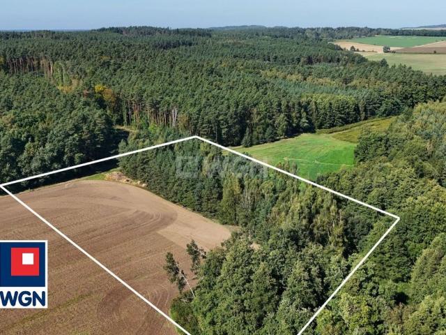 Grunt na sprzedaż w Wisznia Mała, powiat trzebnicki