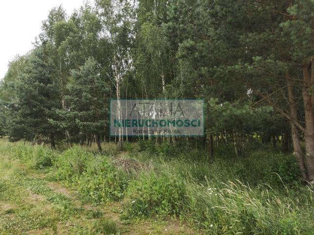 Grunt na sprzedaż w Żelechów, Mazowieckie