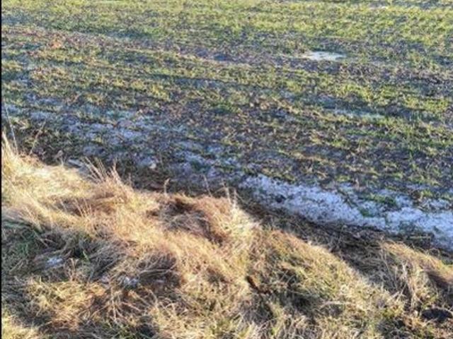 Grunt na sprzedaż w Pszczyna, Śląskie