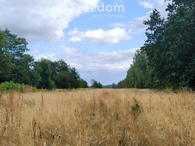 Grunt na sprzedaż w Mszczonów, Mazowieckie