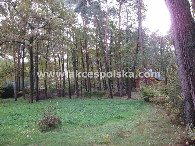 Grunt na sprzedaż w Zalesie Górne, Mazowieckie