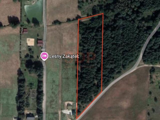 Grunt na sprzedaż w Białe Błoto, Dolnośląskie