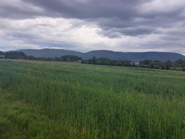 Grunt na sprzedaż w Bielsko-biała, Śląskie