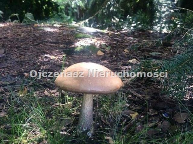 Grunt na sprzedaż w Bydgoszcz, Kujawsko-pomorskie