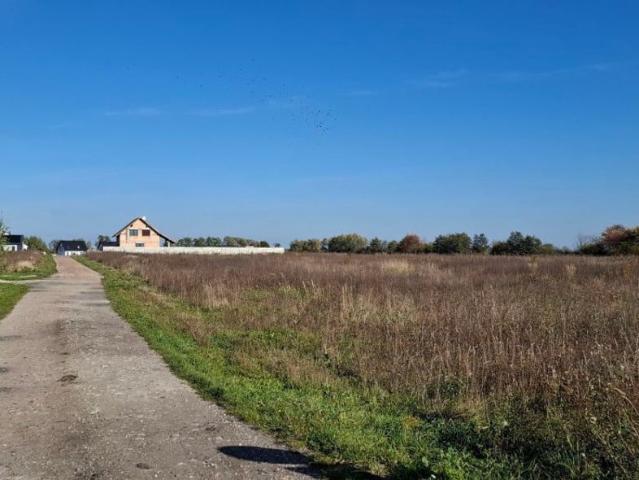 Grunt na sprzedaż w Duszniki, Wielkopolskie