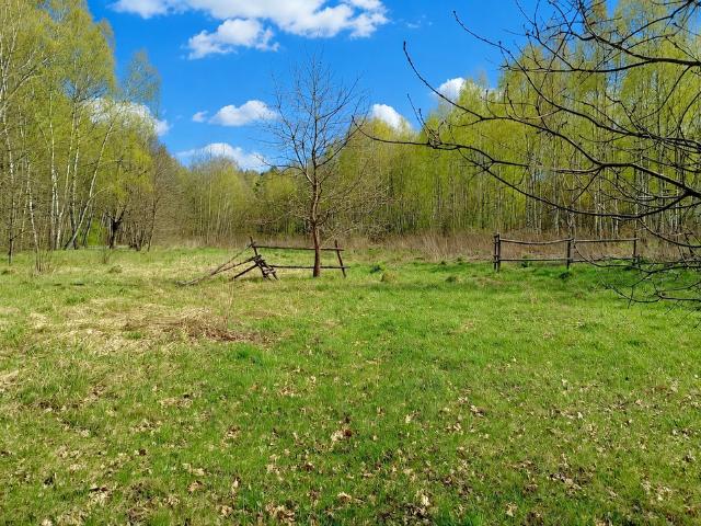Grunt na sprzedaż w Dąbrowa Górnicza, Śląskie
