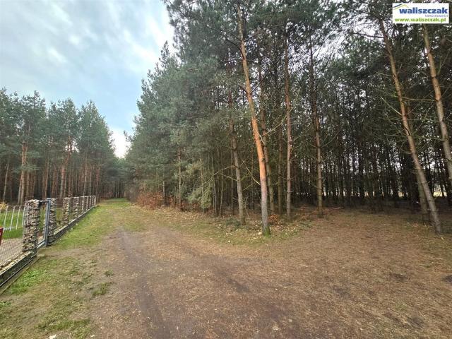 Grunt na sprzedaż w Podklasztorze, Sulejów