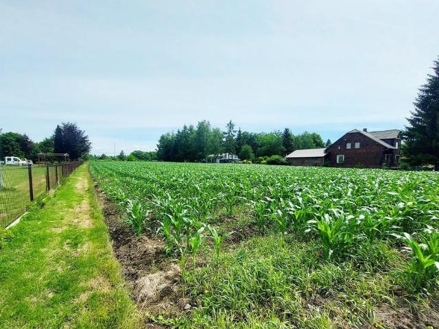 Grunt na sprzedaż w Oświęcim, Małopolskie