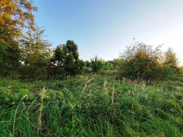 Grunt na sprzedaż w Chełm Śląski, Śląskie