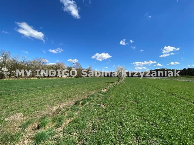 Grunt na sprzedaż w Gliwice, Śląskie