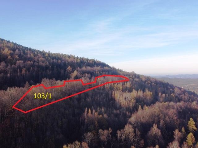 Grunt na sprzedaż w Karpacz, Dolnośląskie