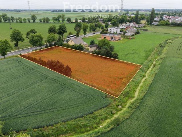 Grunt na sprzedaż w Kaczanowo, Wielkopolskie