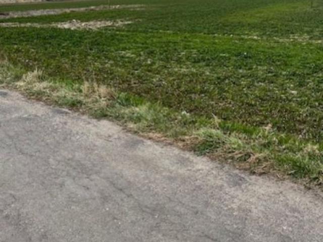 Grunt na sprzedaż w Kalisz, Wielkopolskie