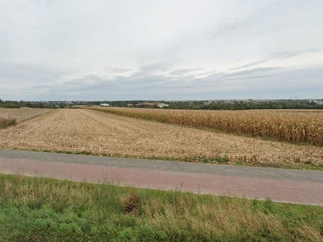 Grunt na sprzedaż w Kalisz, Wielkopolskie