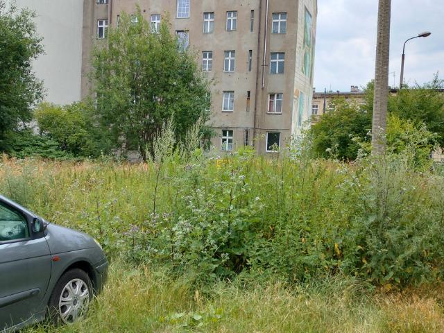 Grunt na sprzedaż w Katowice, Śląskie