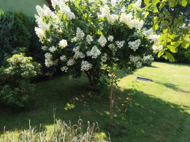 Grunt na sprzedaż w Katowice, Śląskie