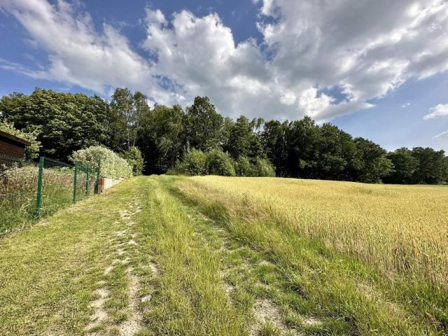 Grunt na sprzedaż w Katowice, Śląskie