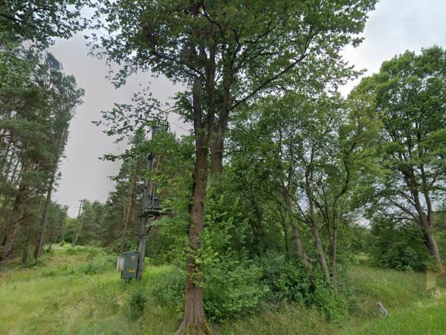 Grunt na sprzedaż w Inowłódz, Łódzkie