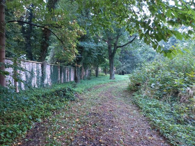 Grunt na sprzedaż w Iłowa, Lubuskie