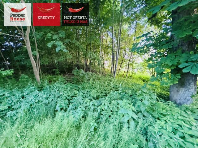 Grunt na sprzedaż w Pomorskie