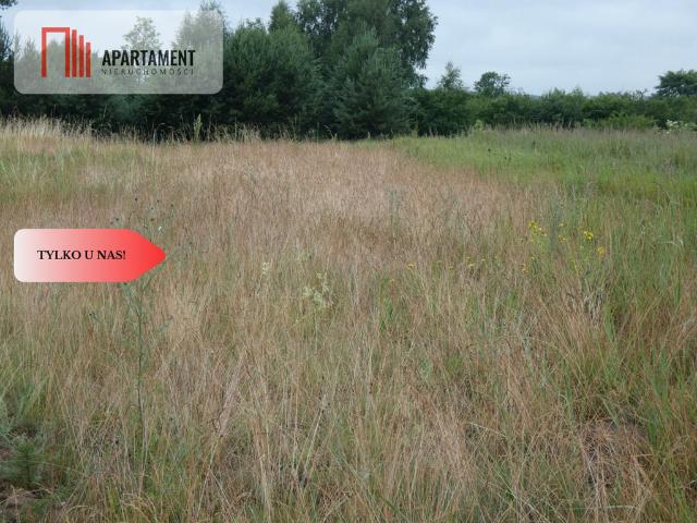Grunt na sprzedaż w Biskupice, Wielkopolskie