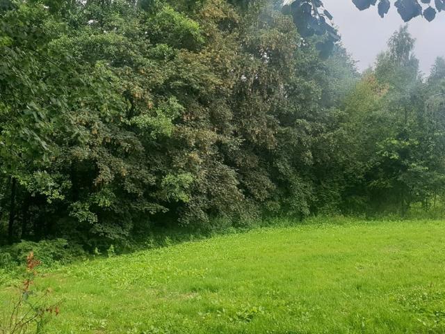 Grunt na sprzedaż w Kraków, Małopolskie