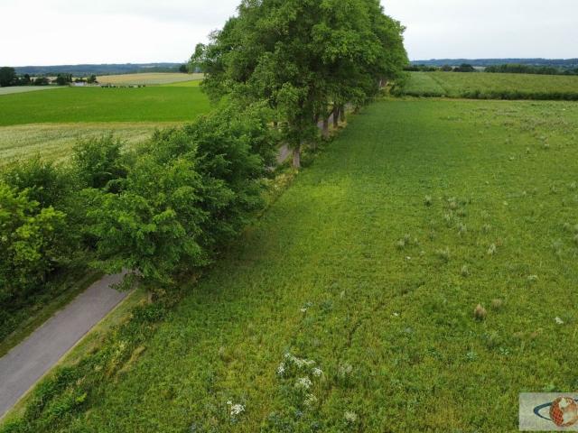 Grunt na sprzedaż w Gniewino, Pomorskie