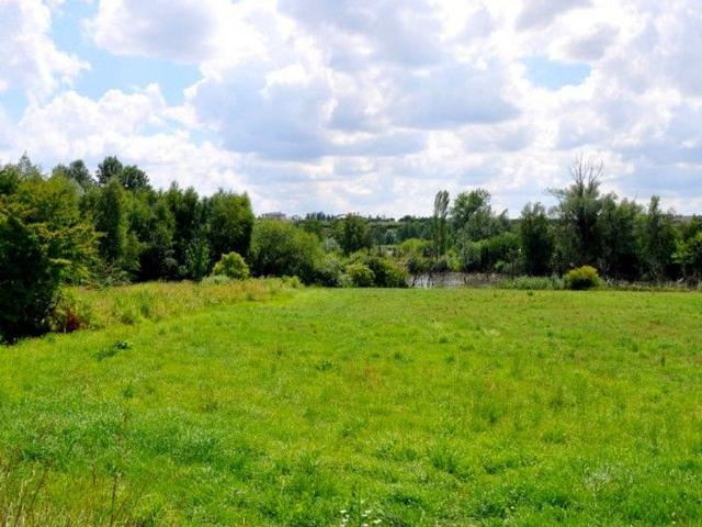 Grunt na sprzedaż w Gruszczyn, Wielkopolskie