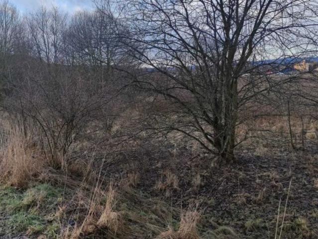 Grunt na sprzedaż w Kudowa-zdrój, Dolnośląskie