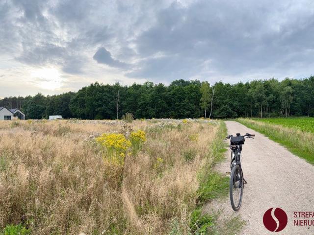 Grunt na sprzedaż w Kaźmierz, Wielkopolskie