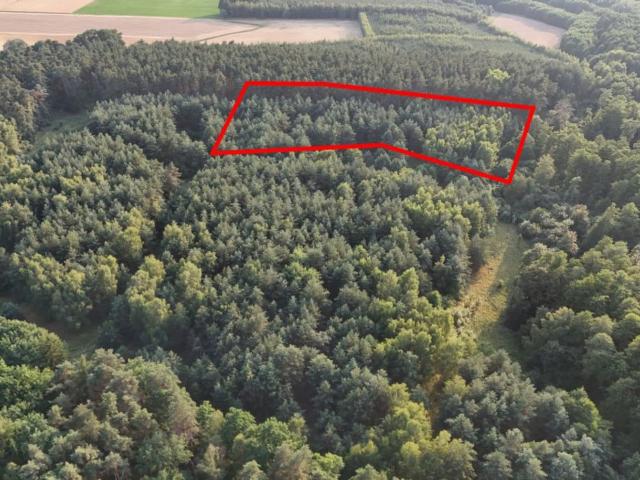 Grunt na sprzedaż w Sławno, powiat gnieźnieński