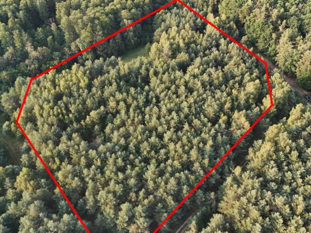 Grunt na sprzedaż w Sławno, Wielkopolskie