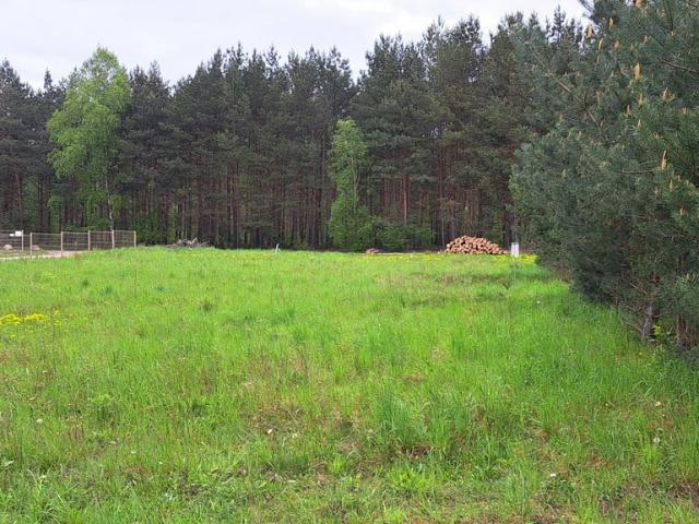 Grunt na sprzedaż w Trzcielin, Wielkopolskie