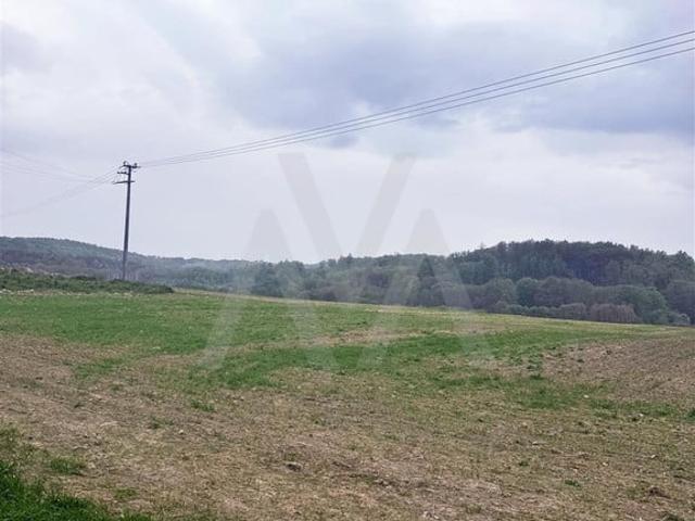Grunt na sprzedaż w Lisewo, Pomorskie