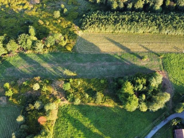 Grunt na sprzedaż w Nowy Sącz, Małopolskie