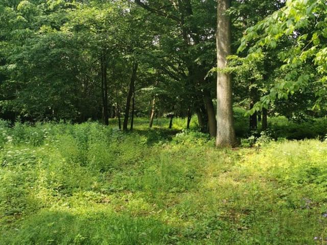 Grunt na sprzedaż w Głowno, Łódzkie