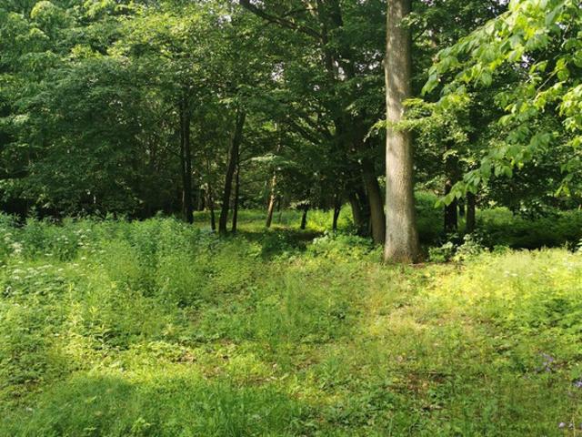 Grunt na sprzedaż w Głowno, Łódzkie