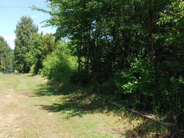 Grunt na sprzedaż w Łódź, Łódzkie