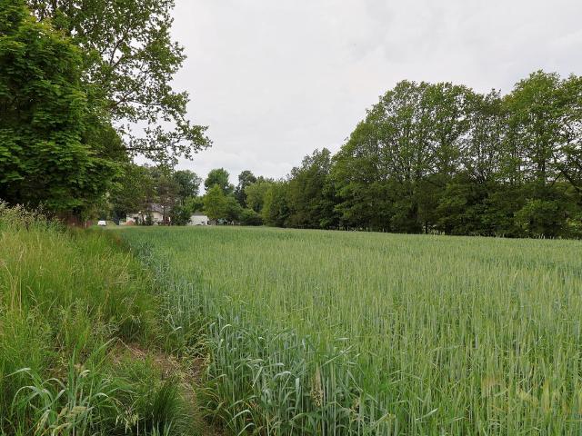 Grunt na sprzedaż w Łódź, Łódzkie