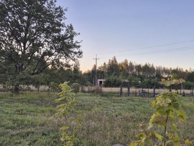 Grunt na sprzedaż w Widzew, Łódź