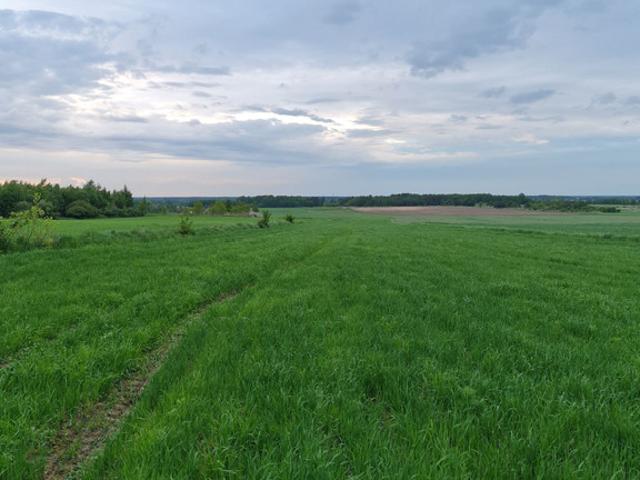 Grunt na sprzedaż w Łódź, Łódzkie