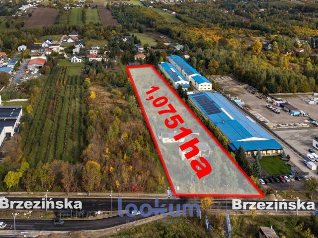 Grunt na sprzedaż w Łódź, Łódzkie