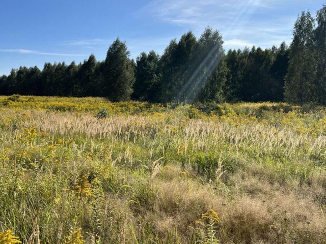 Grunt na sprzedaż w Łódź, Łódzkie