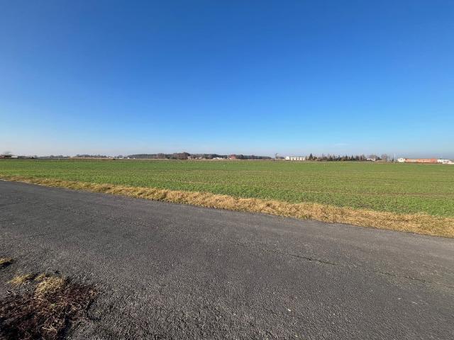 Grunt na sprzedaż w Brodowo, Wielkopolskie